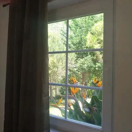 Nirvana Vh's Sintra